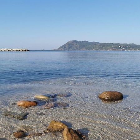 滨海圣芒德里耶Havre De Paix A 2 Pas De L'Eau, Autonomie公寓 外观 照片